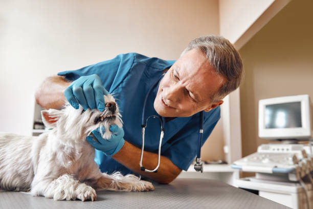 Best Emergency Denture Repair in Hinton, OK